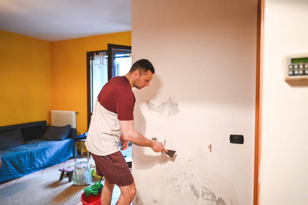 Home Mold Removal in Hasbrouck Heights, NJ